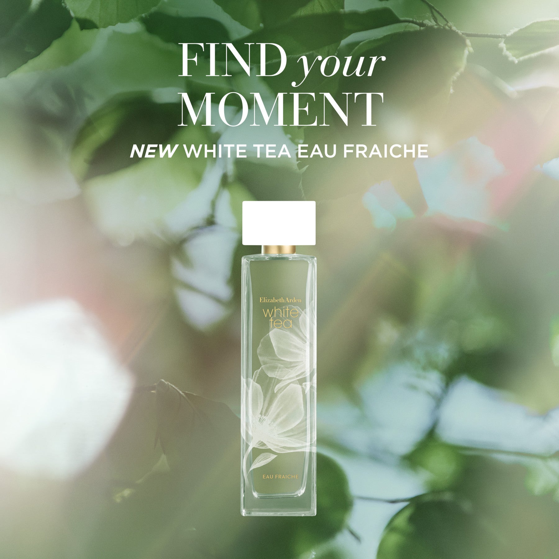 אליזבת ארדן בושם לאישה WHITE TEA EAU FRAICHE א.ד.ט 100 מ"ל