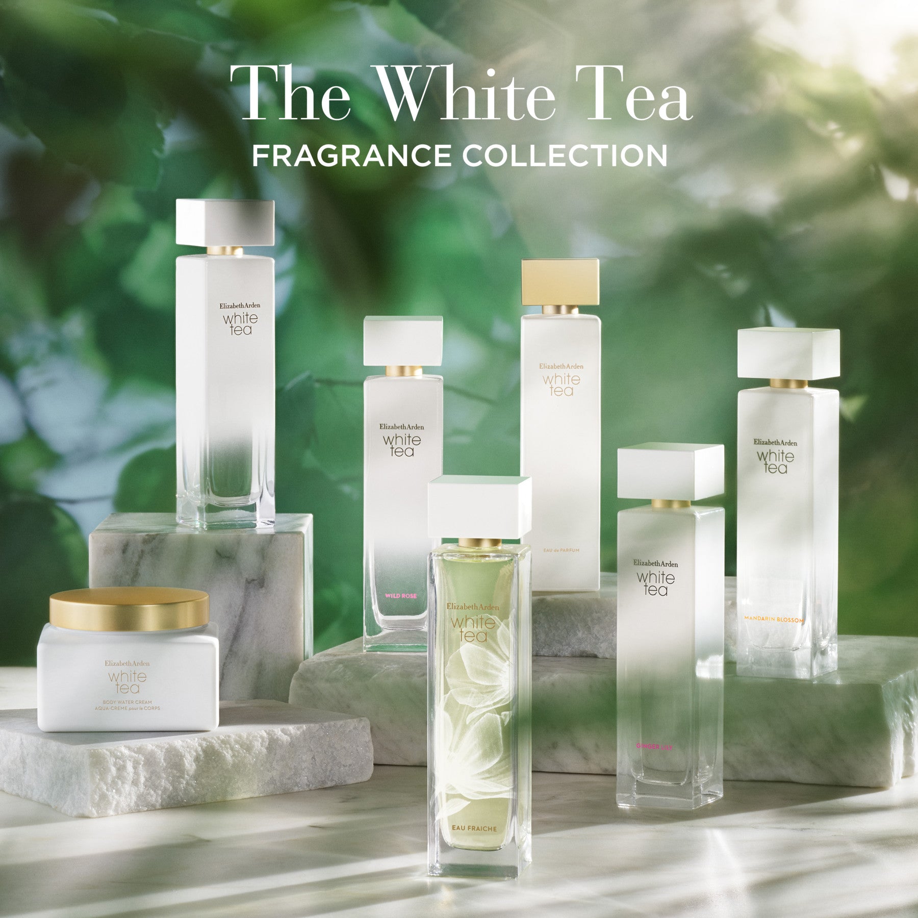 אליזבת ארדן בושם לאישה WHITE TEA EAU FRAICHE א.ד.ט 100 מ"ל