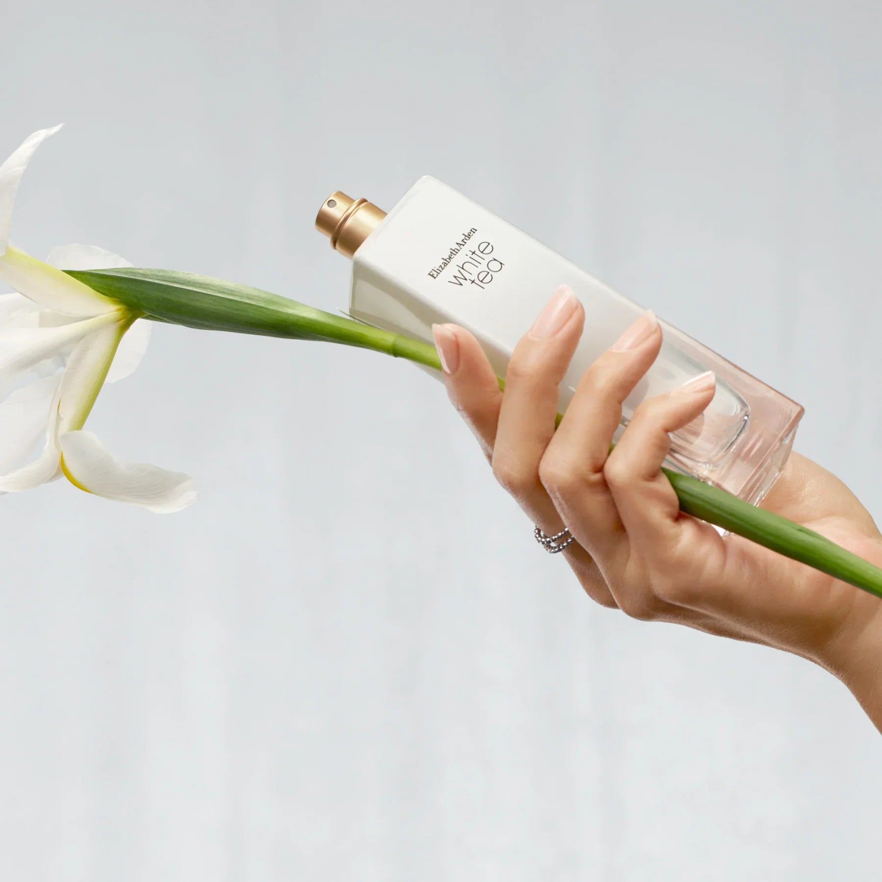 יד מחזיקה בושם Elizabeth Arden White Tea ליד פרח לבן, צילום ממותג CHOZEN