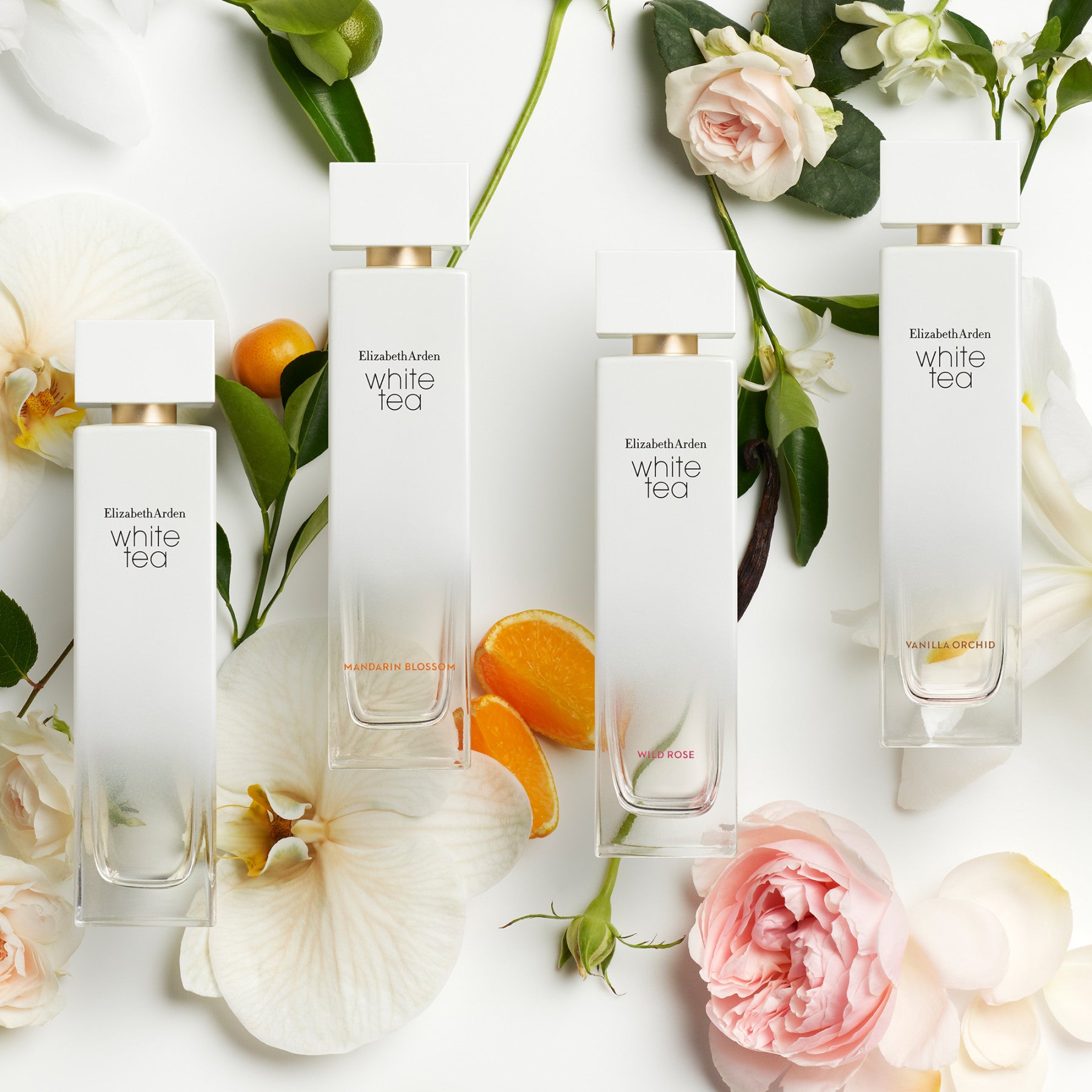 אליזבת ארדן בושם לאישה WHITE TEA א.ד.ט 100 מ"ל