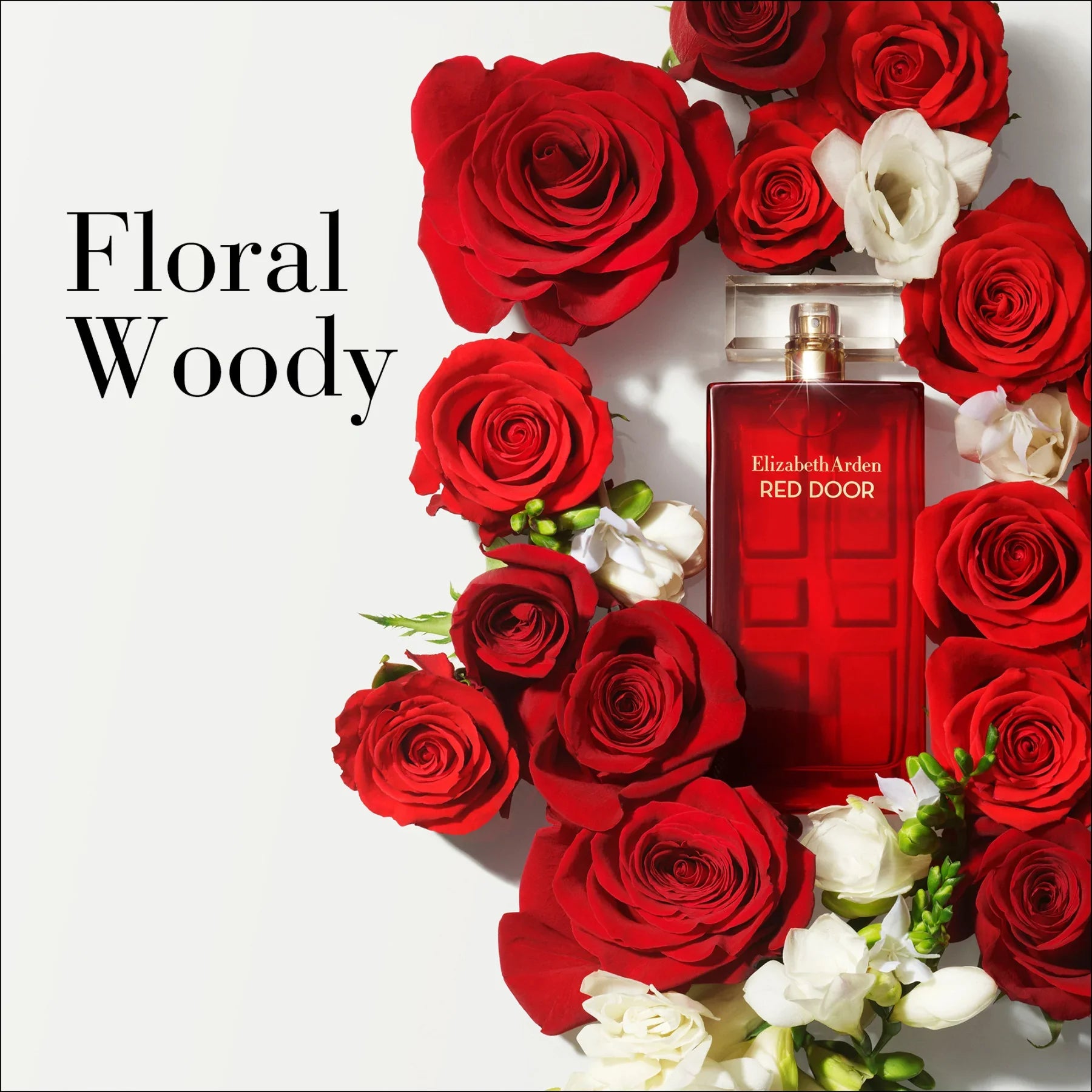 בושם Elizabeth Arden Red Door מוקף ורדים אדומים ופרחים לבנים, עיצוב יוקרתי, CHOZEN מותגים מובילים