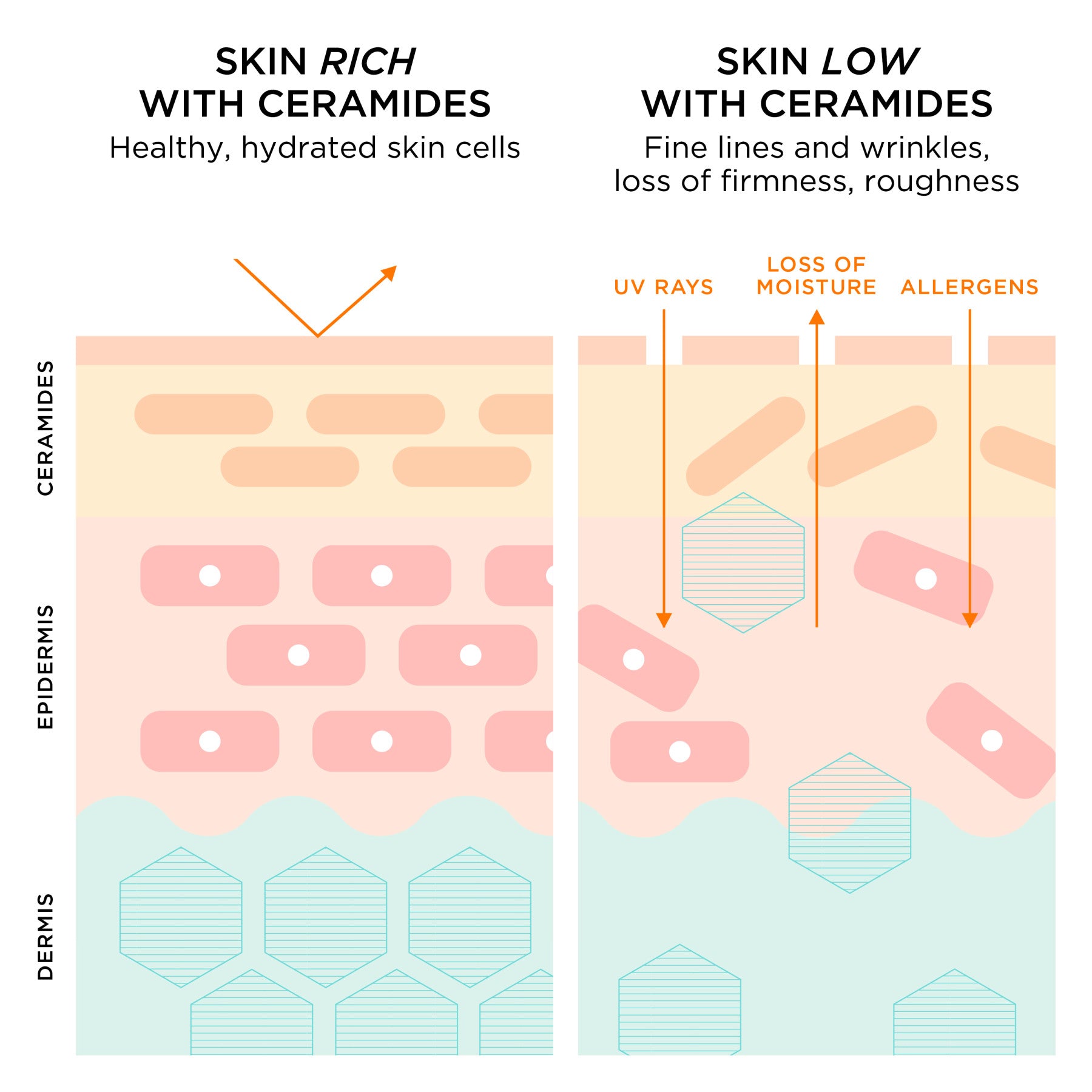 אליזבת ארדן 60 קפסולות סרום סרמיד לאזור העינים