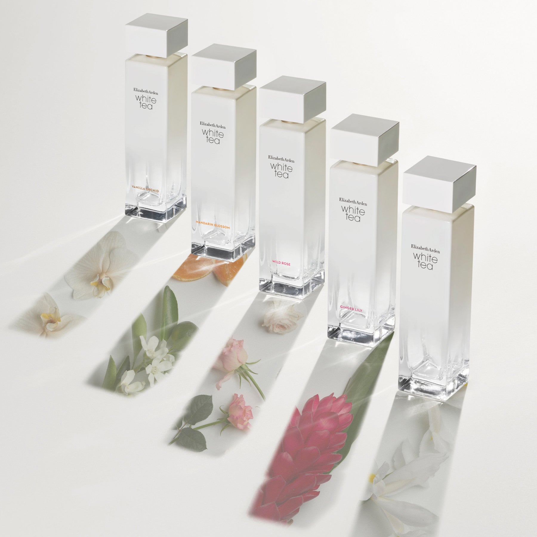 אליזבת ארדן בושם לאישה WHITE TEA GINGER LILY א.ד.ט 100 מ"ל