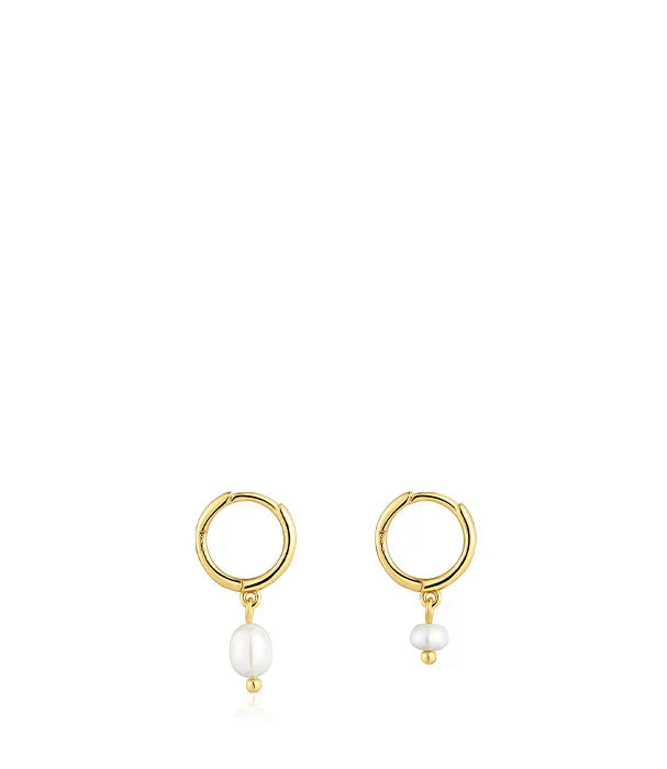 עגילי זהב קטנים עם תליון פנינה מבית CHOZEN, צילום על רקע לבן, מותגים מובילים בקבוצת אלפא