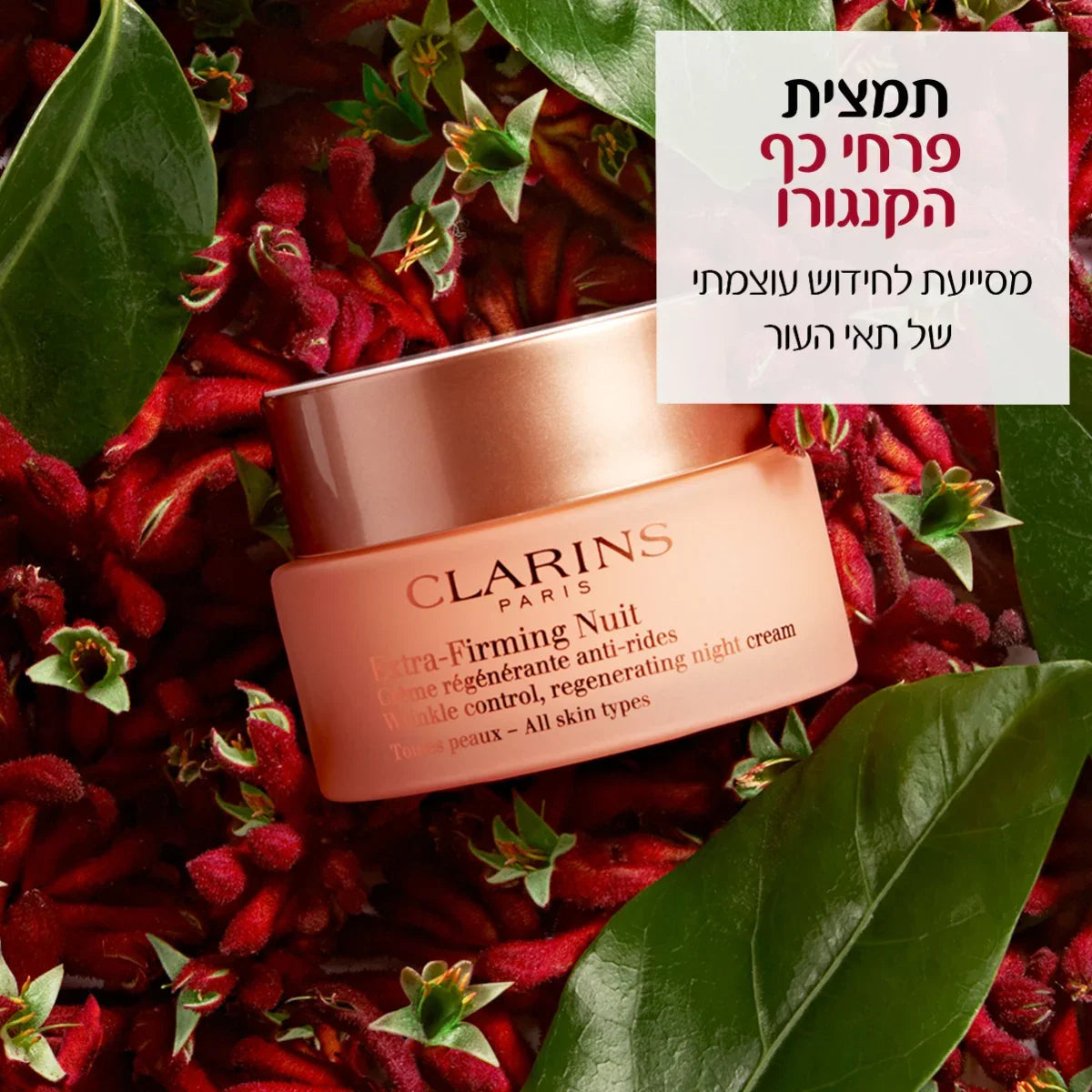 קרם לילה קלרינס על פרחי כף הקנגורו ברקע, מוצר טיפוח מוביל ב-CHOZEN