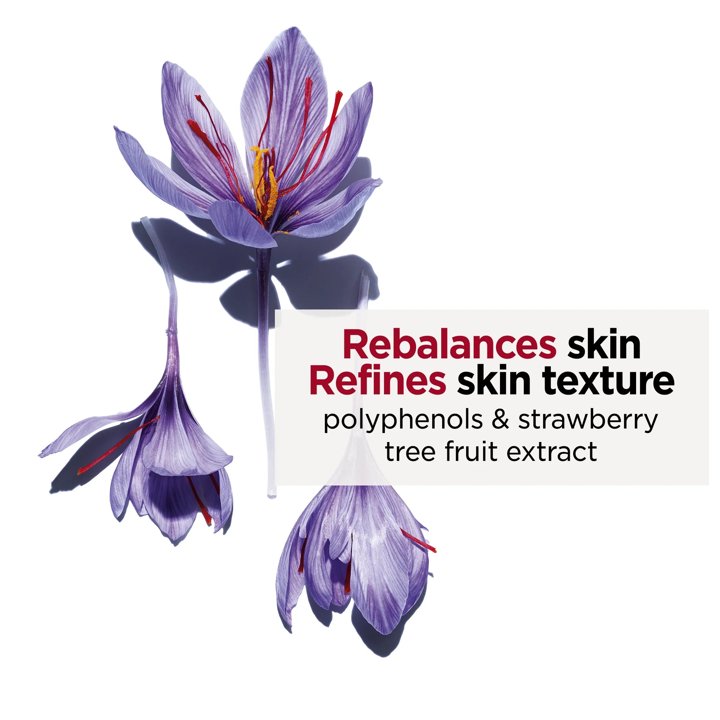 פרח סגול לצד טקסט על איזון ומרקם עור, תמצית פירות, מוצרי טיפוח CHOZEN