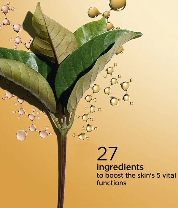 עלים ירוקים עם מולקולות זהב ברקע, קידום מוצרי טיפוח CHOZEN מהיבואן הרשמי קבוצת אלפא