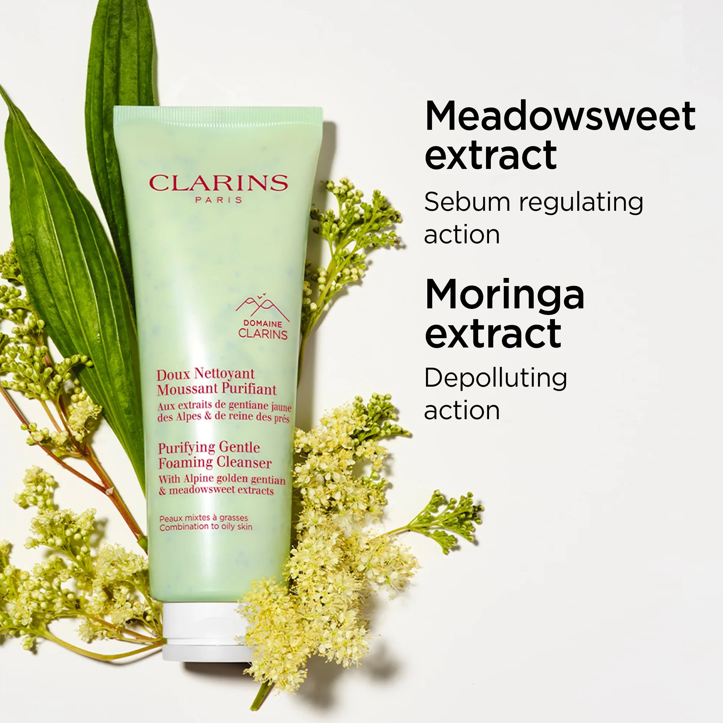 מוצר טיפוח Clarins Purifying Gentle Foaming Cleanser מוצג עם תמציות צמחים ומידע על רכיבים