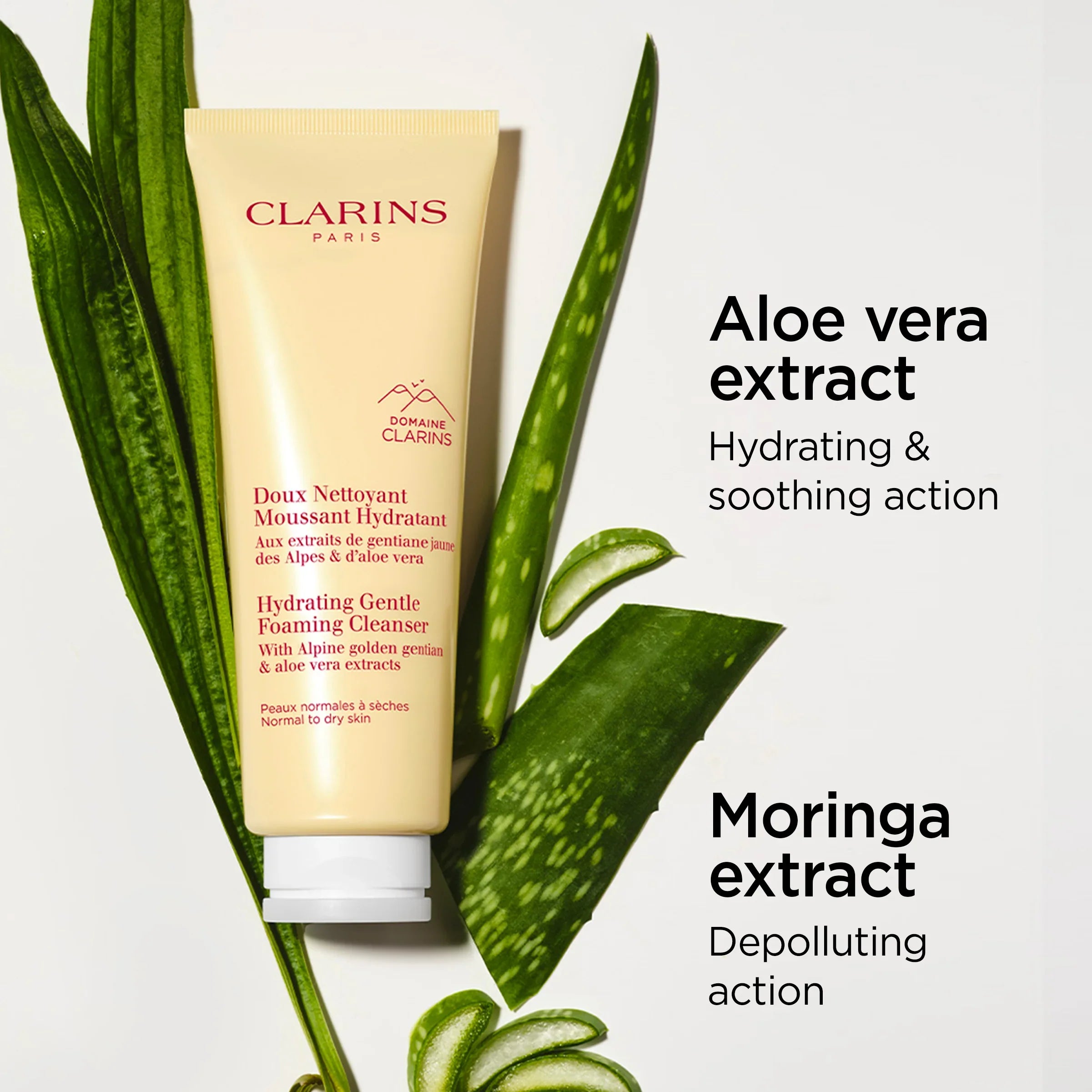 תמונת מוצר Clarins Hydrating Gentle Foaming Cleanser עם תמצית אלוורה ומורינגה, מוצג עם עלי אלוורה