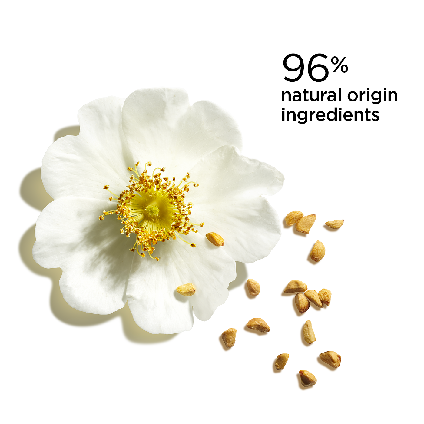 קלרינס ליפ אויל באלם