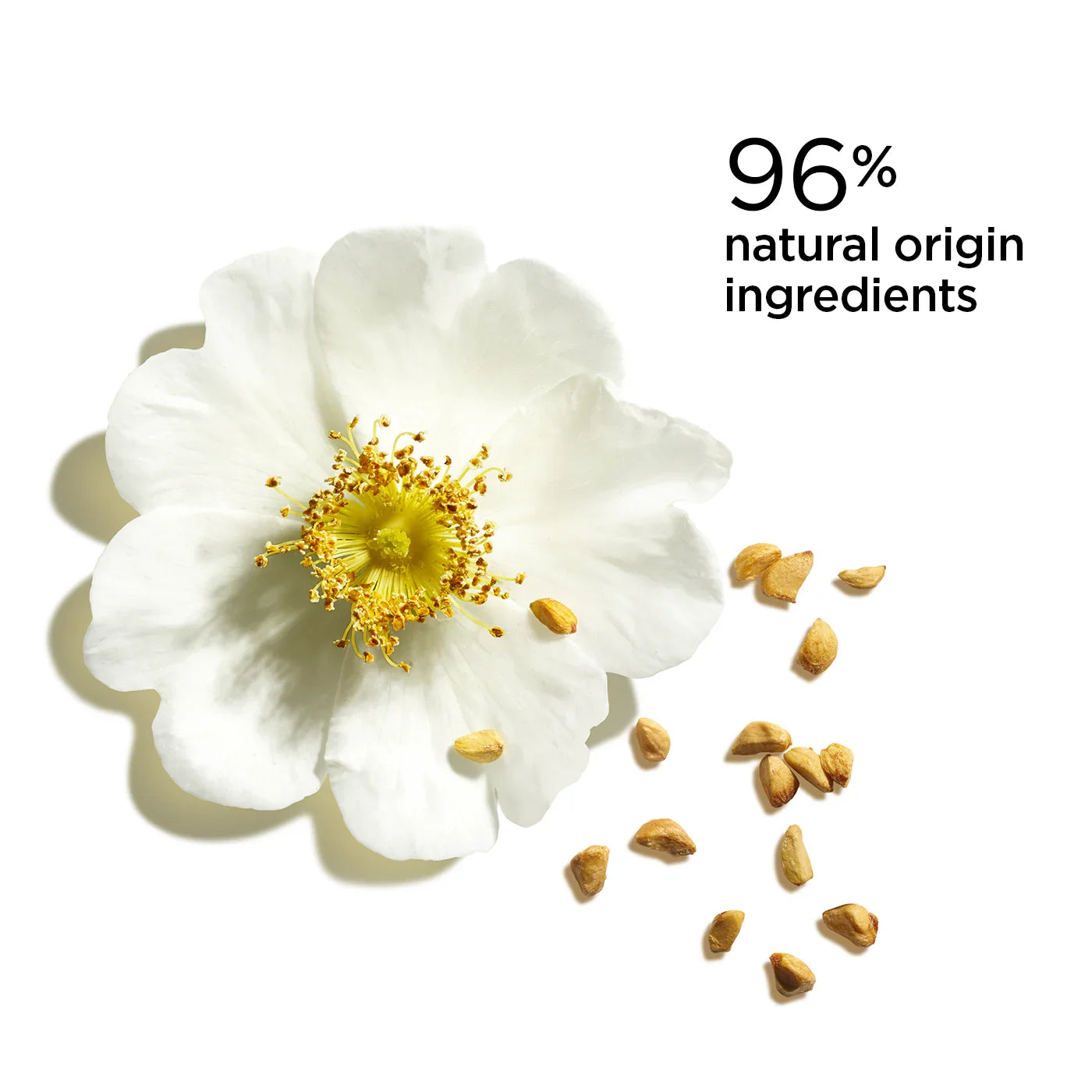 פרח לבן עם זרעים וטקסט 96% רכיבים ממקור טבעי, מוצרי טיפוח טבעיים CHOZEN