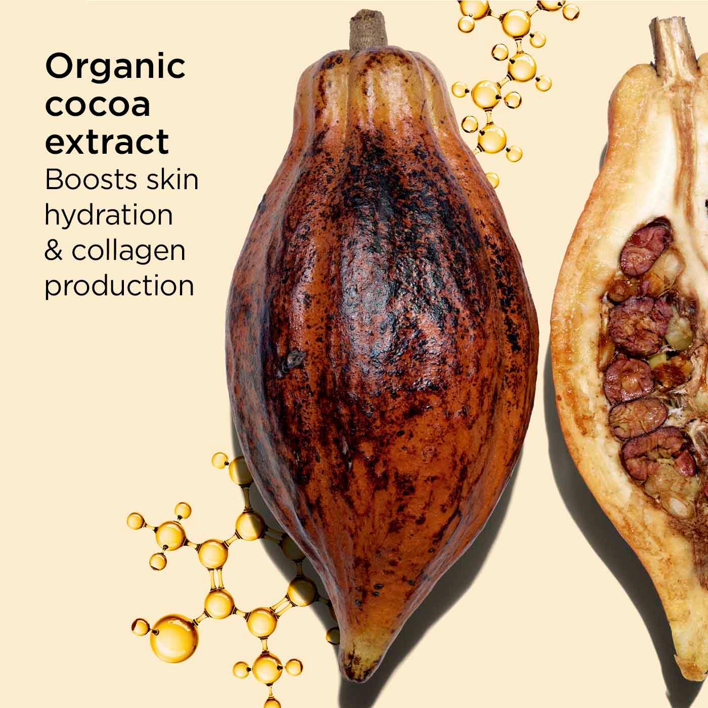 תרמיל קקאו אורגני שלם וחצוי, רקע בהיר עם מולקולות, תמצית קקאו CHOZEN