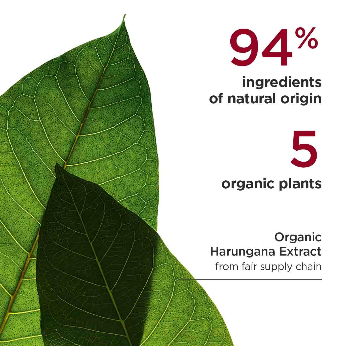 עלים ירוקים טבעיים, טקסט עם מידע על 94% רכיבים טבעיים ו-5 צמחים אורגניים, באתר CHOZEN