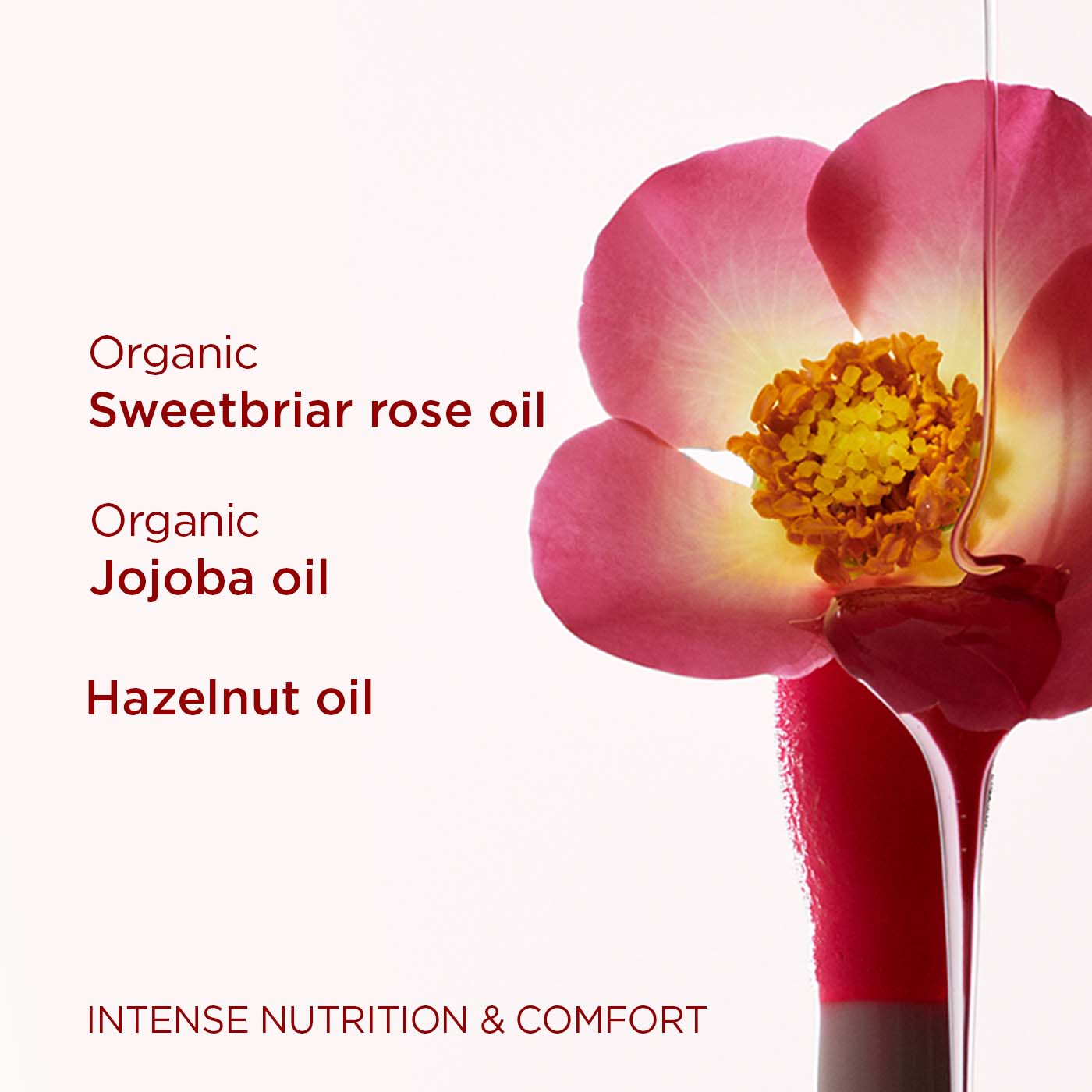 קלרינס ליפ אויל LIMITED EDITION