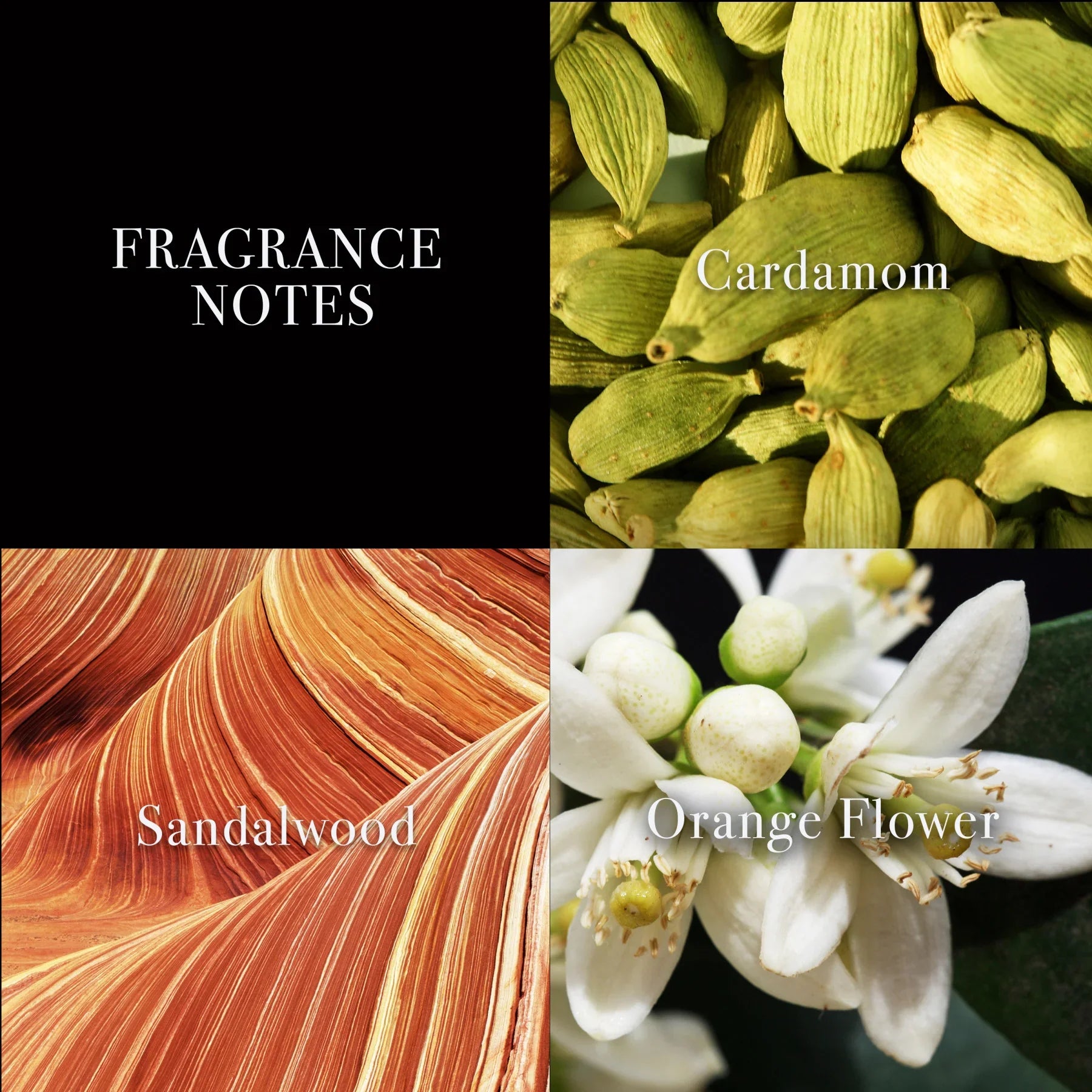 תמציות בושם CHOZEN: הל, עץ סנדלווד, פרח תפוז, תיאור ניחוחות יוקרתיים מהמותגים המובילים