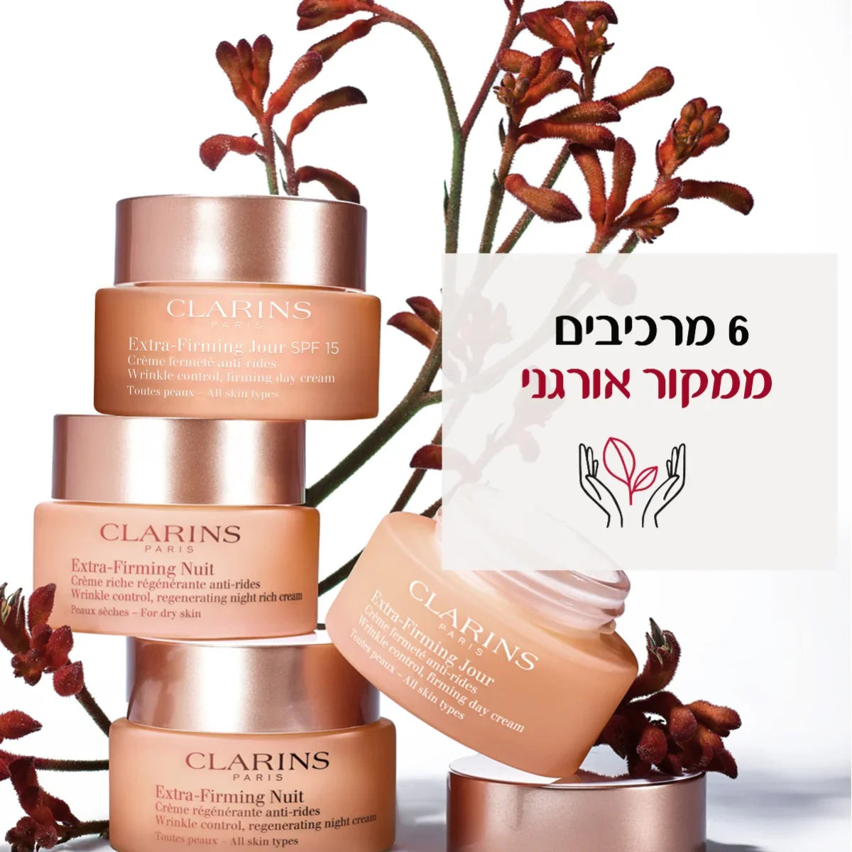 קרם לחות לפנים קלרינס Extra-Firming על רקע ענף, 6 רכיבים ממקור אורגני, מבית CHOZEN
