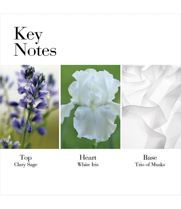 אליזבת ארדן בושם לאישה WHITE TEA א.ד.ט 100 מ"ל