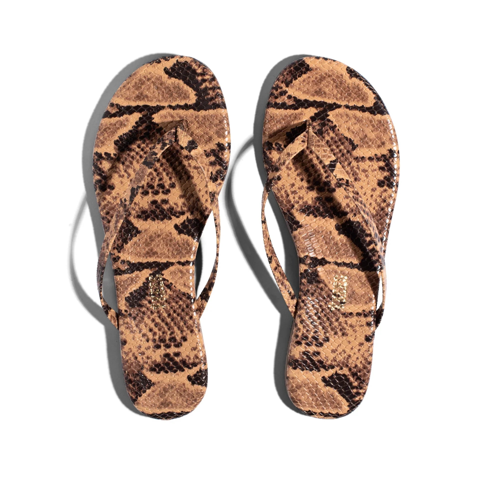 כפכפי נשים דגם נחש חום אופנתי מבית CHOZEN, רקע לבן, ייבוא קבוצת אלפא