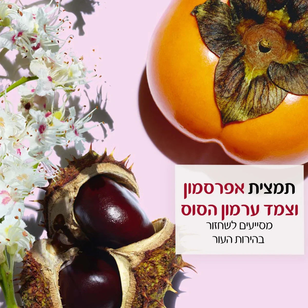 אפרסמון, ערמון סוס ופרחי ערמון על רקע ורוד, קידום מותגי טיפוח CHOZEN קבוצת אלפא