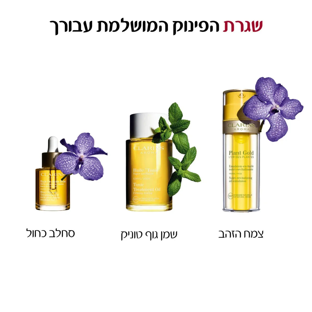 שלישיית מוצרי טיפוח Clarins עם סחלבים כחולים ונענע, קוסמטיקה יוקרתית מהיבואן הרשמי קבוצת אלפא