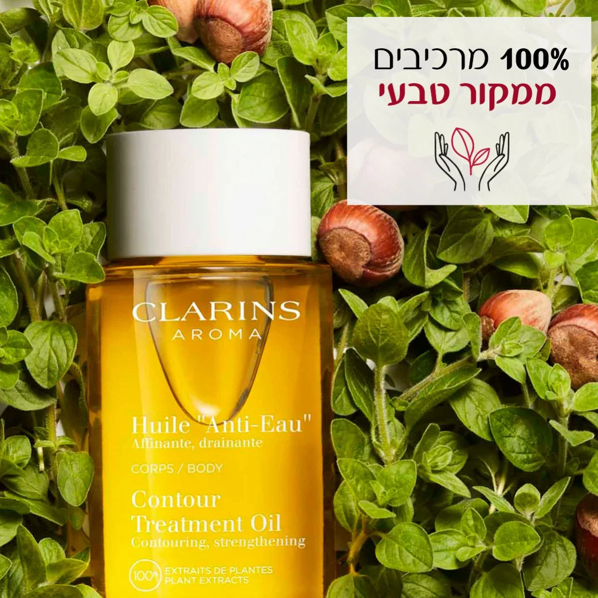 שמן גוף קלרינס בין עלים ואגוזי לוז, 100% רכיבים טבעיים, מבית CHOZEN