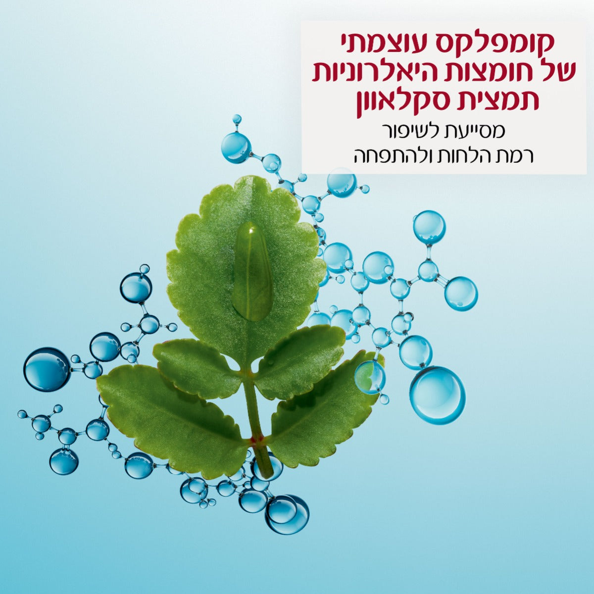 קלרינס HYDRA ESSENTIEL קרם יום לעור רגיל עד יבש