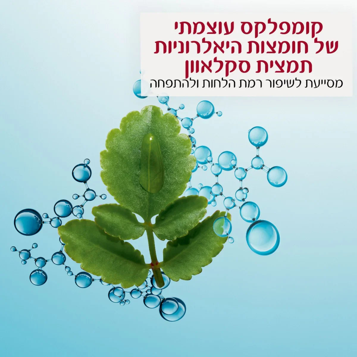עלה ירוק עם בועות מים ברקע, קידום חומצה היאלורונית, CHOZEN, ייבוא קבוצת אלפא