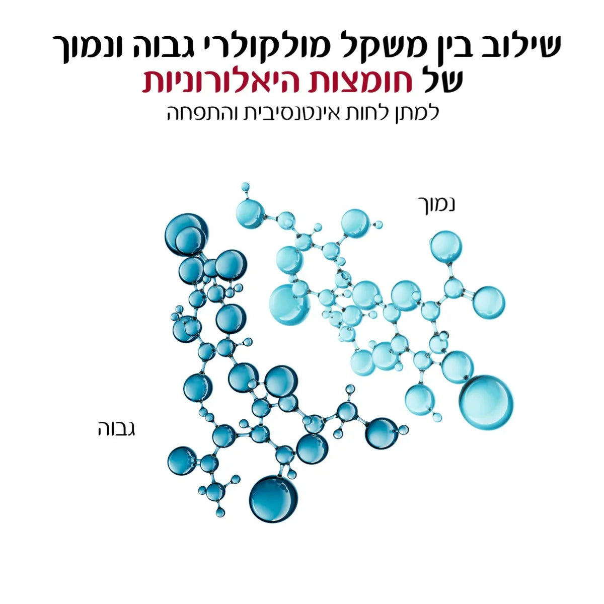 מולקולות חומצה היאלורונית בגוונים כחולים, תיאור שילוב משקלים מולקולריים, CHOZEN