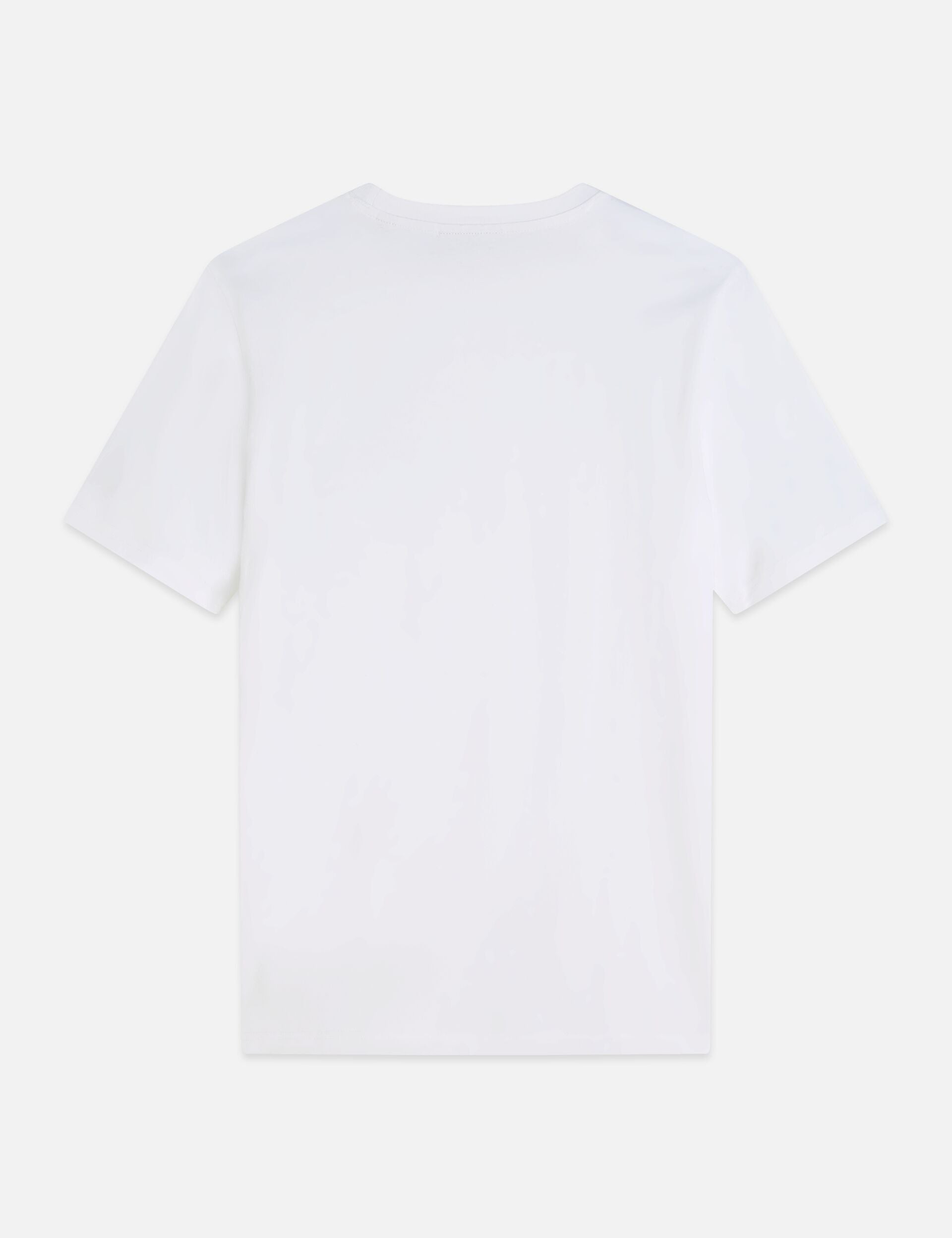 חולצת טי לבנה קלאסית מבית CHOZEN, מבט אחורי, מותגים מובילים בייבוא רשמי