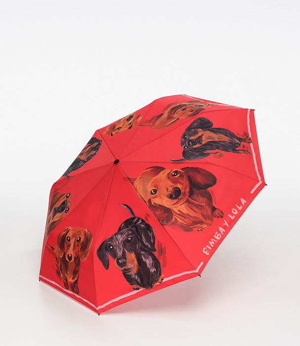 בימבה אי לולה מטריה לנשים