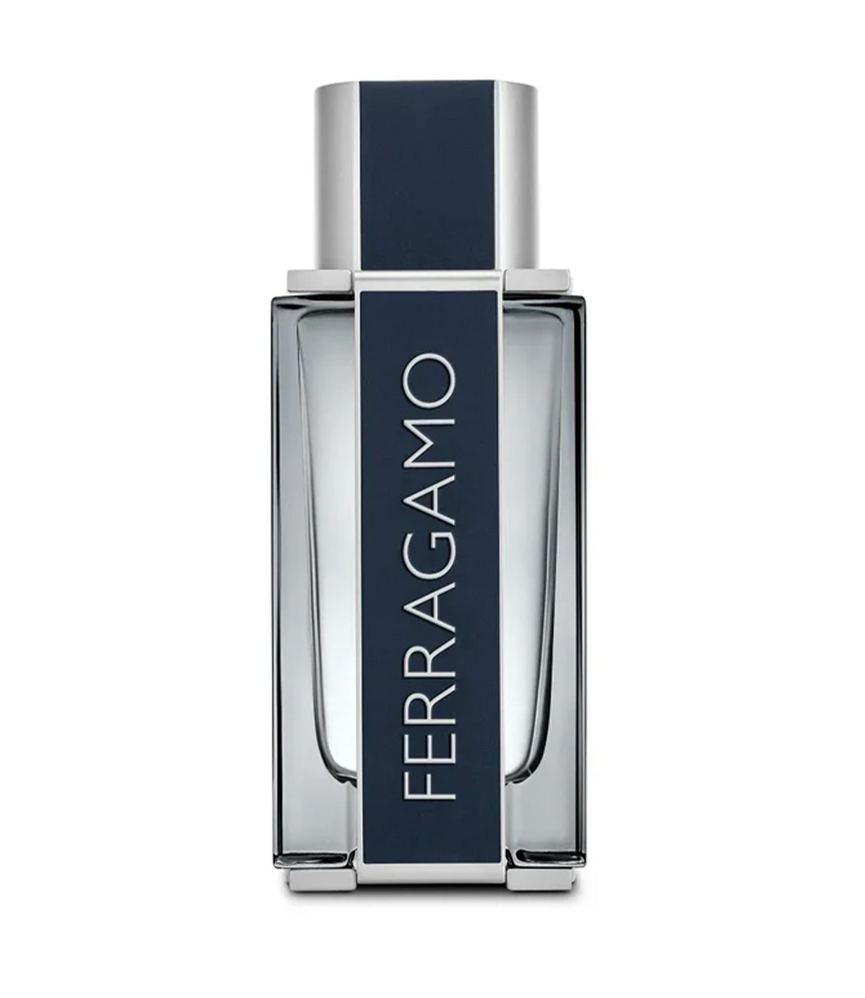 פראגמו בושם לגבר FERRAGAMO POUR HOMME א.ד.ט 100 מ"ל