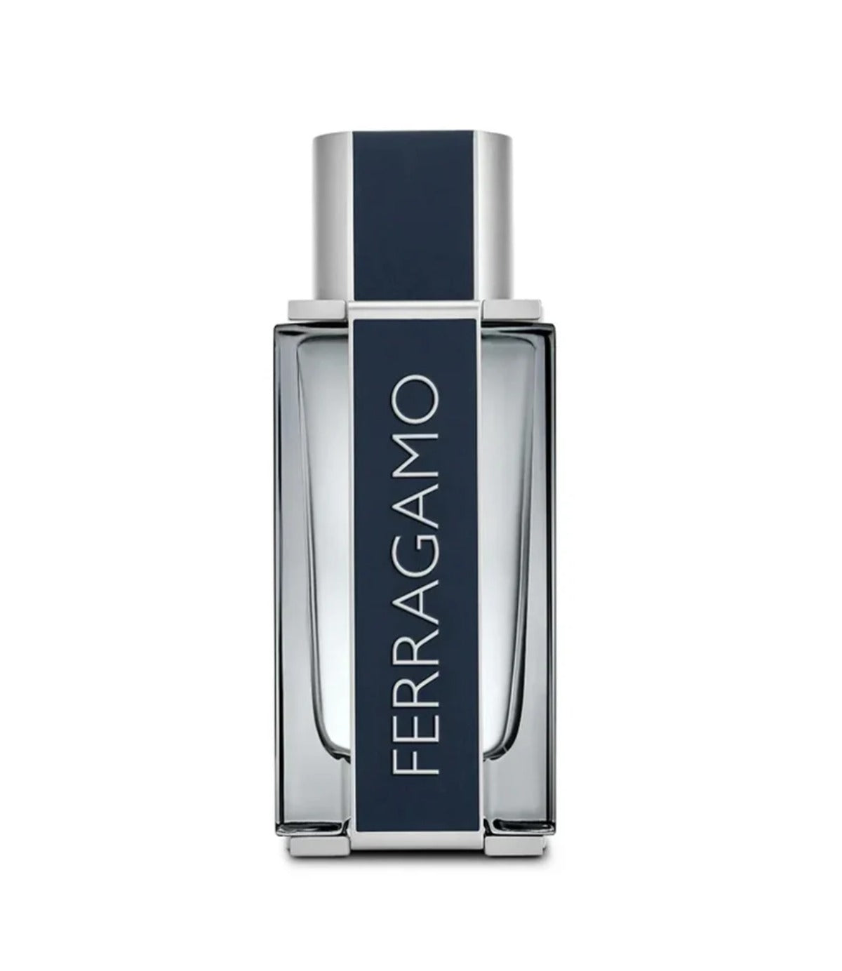 פראגמו בושם לגבר FERRAGAMO POUR HOMME א.ד.ט 100 מ"ל