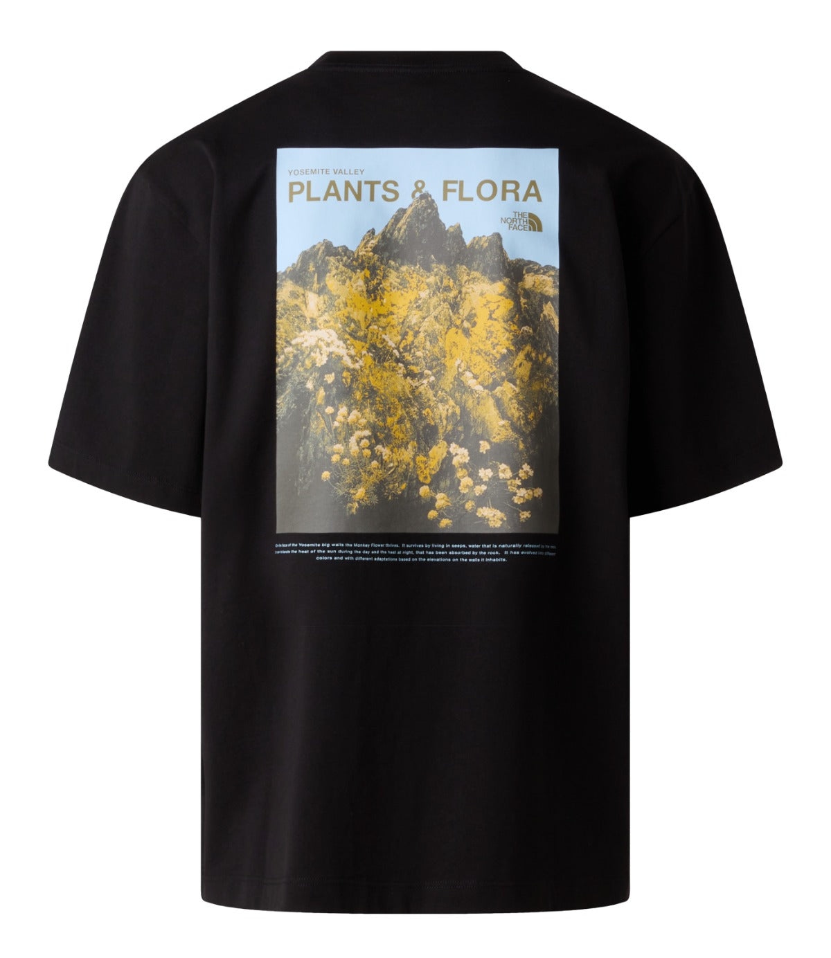 נורתפייס טישרט PLANT & FLORA לגברים