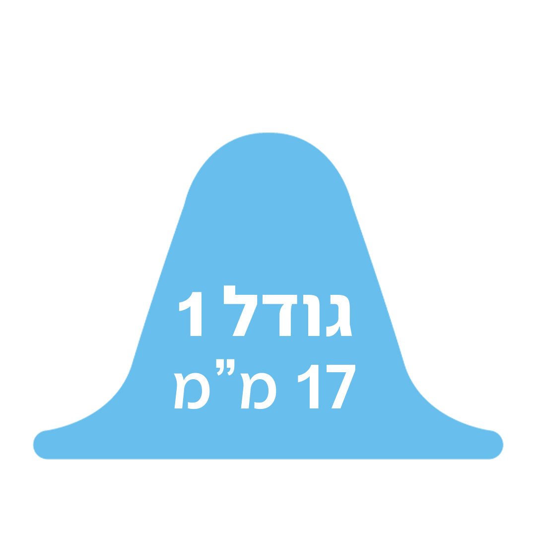 אייקון כחול עם כיתוב גודל 1, 17 מ"מ, מציין מגן פטמה לתינוק