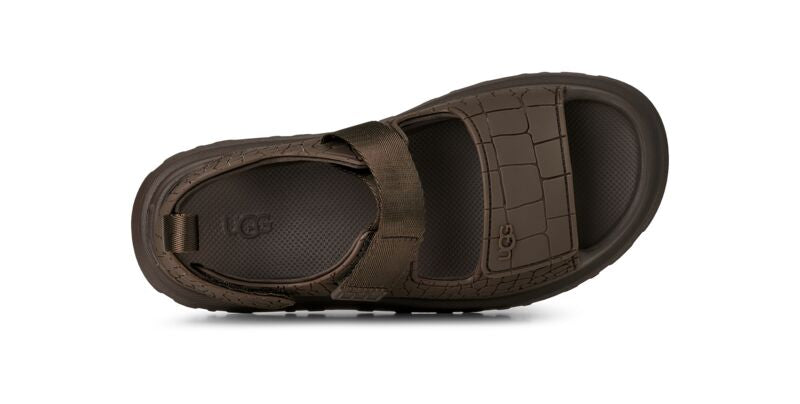 סנדל חום גברים UGG עם רצועות סקוץ', נוח וקז'ואל, צילום על רקע לבן