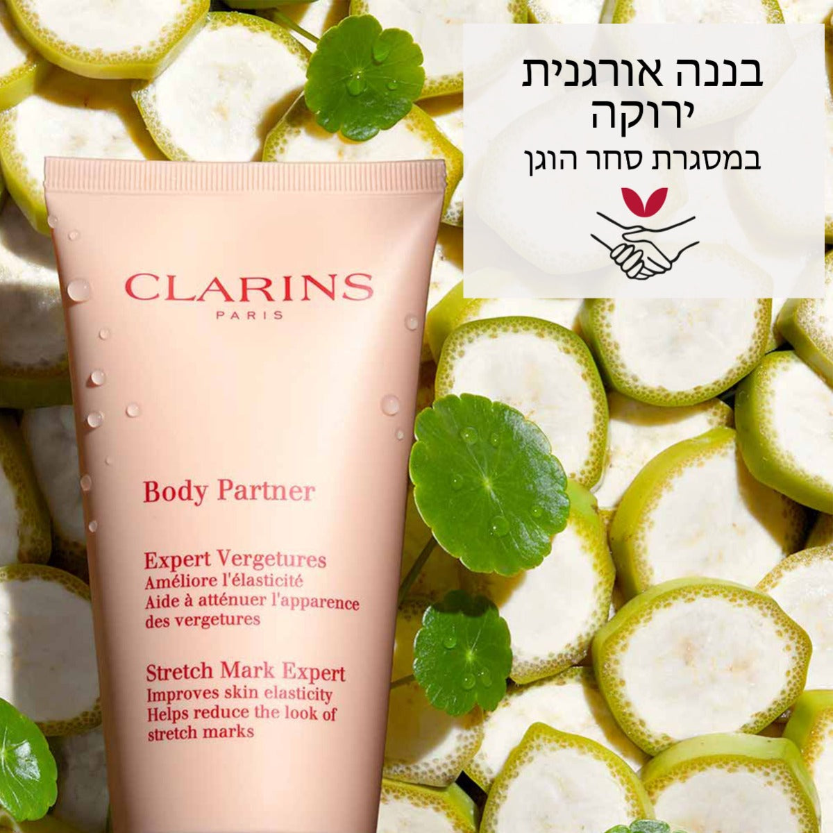 קלרינס BODY PARTNER לטיפול בסימני מתיחה