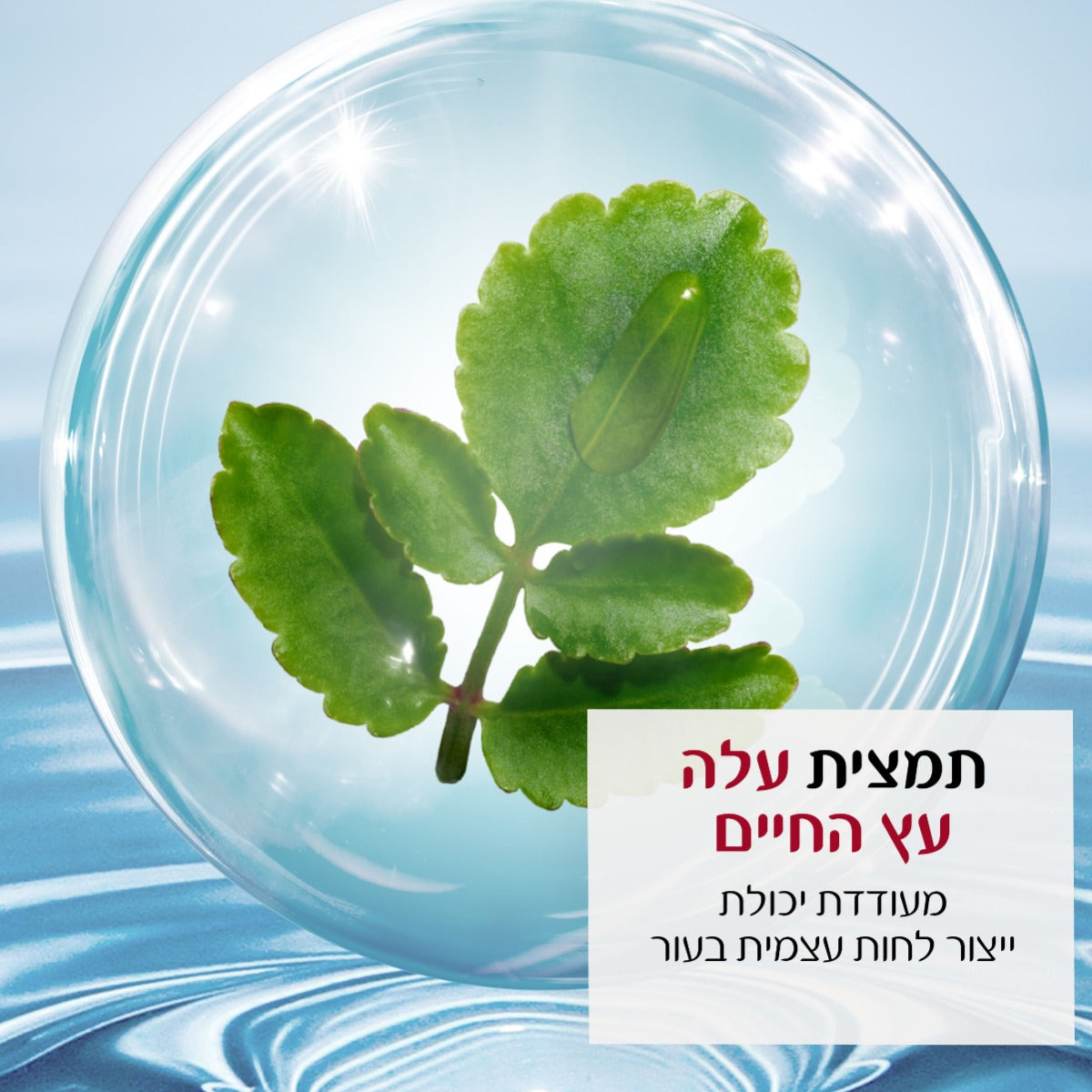 קלרינס מסיכת לחות עיניים HYDRATE 20ML